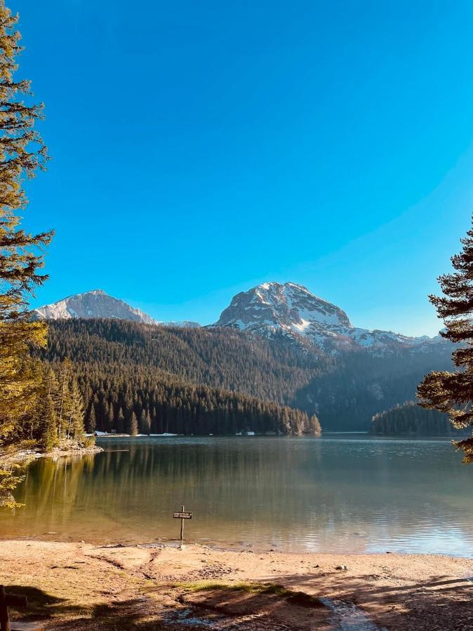 Apartman Aco Zabljak  Bagian luar foto